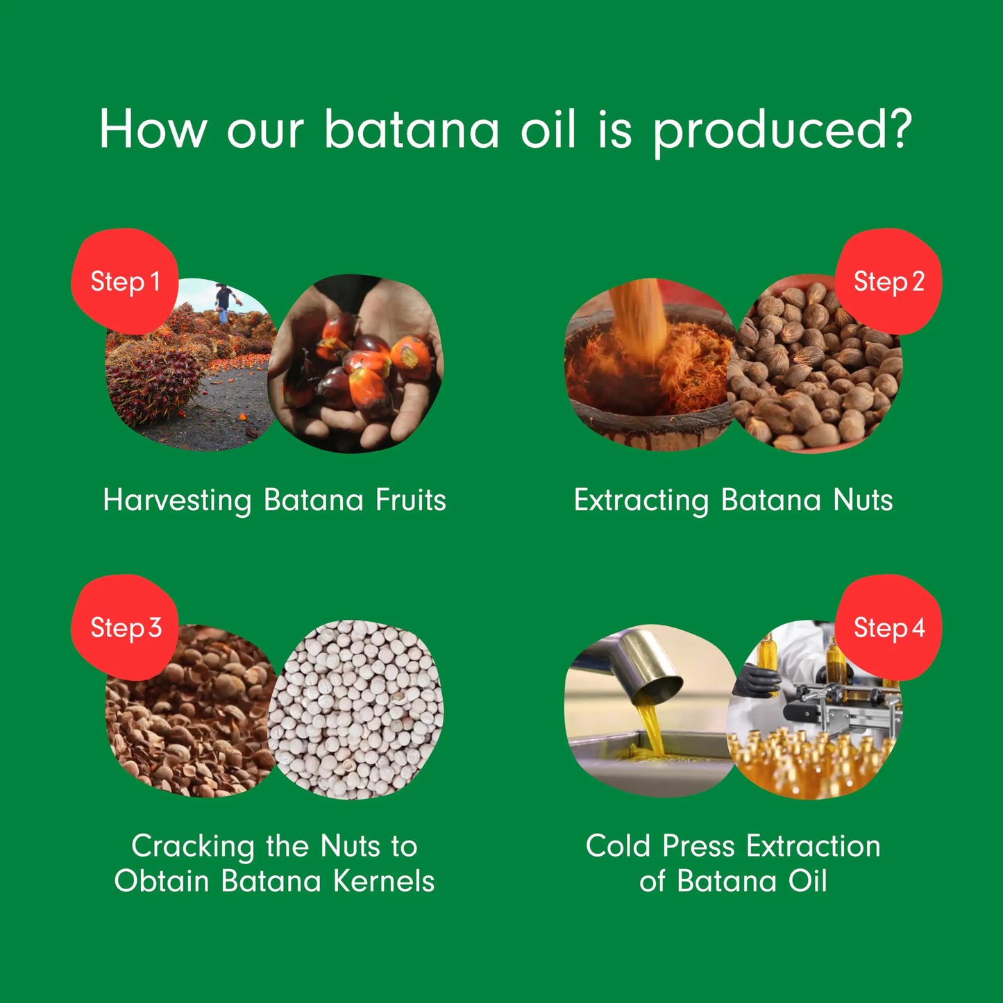 Batana Oil: Dr. Sebi Organic Raw Honduras Oil for Hair Growth - 4 FL OZ