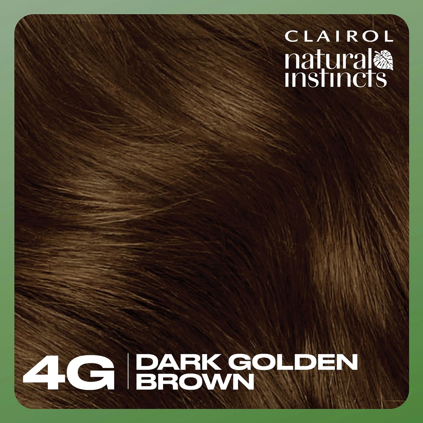 Clairol Natural Instincts Demi-Permanent Hair Dye, 4G Dark Golden Brown Hair Color, 1 5.85 Fl Oz