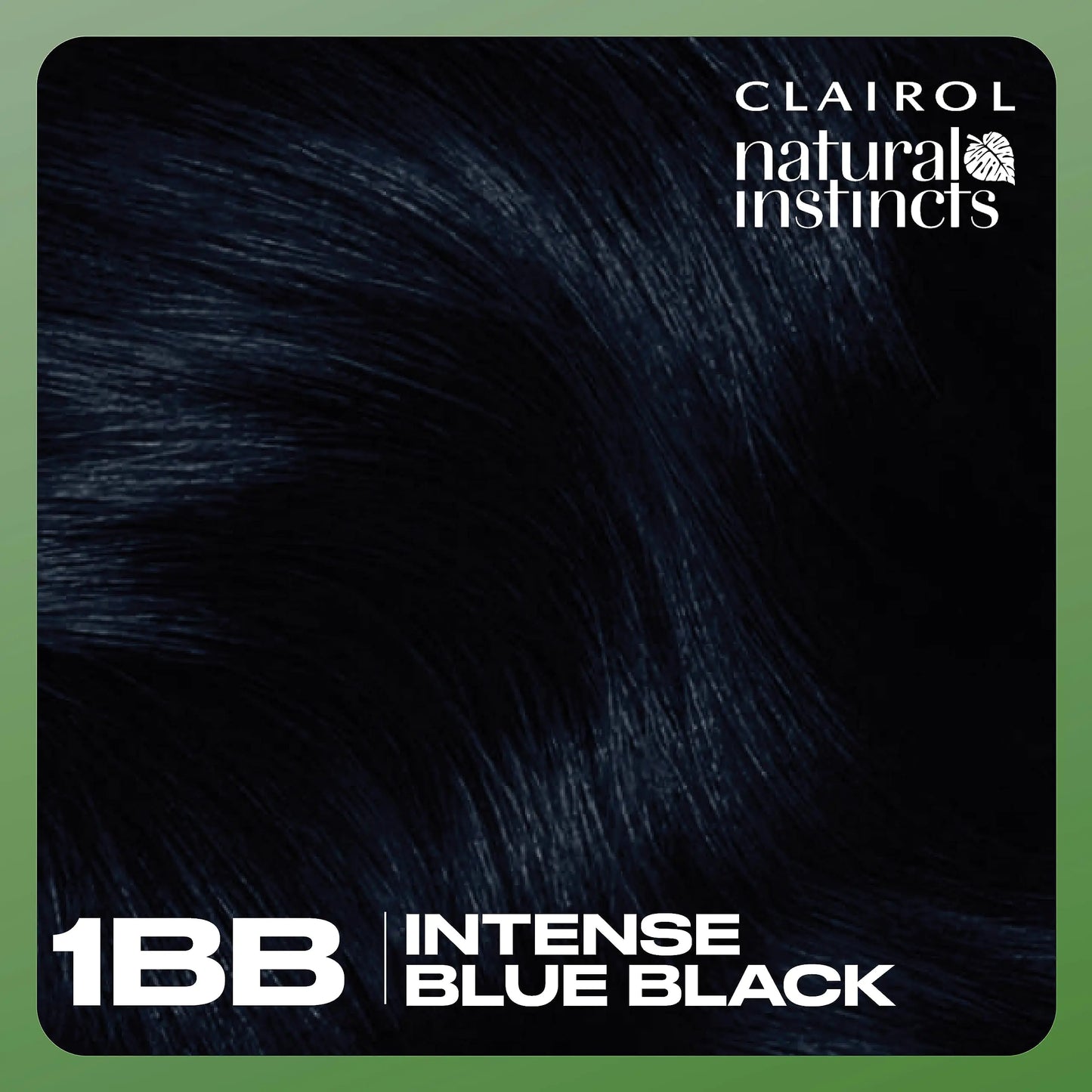 Clairol Natural Instincts Demi-Permanent Hair Dye, 1BB Deepest Blue Black Hair Color, 5.85 Fl Oz