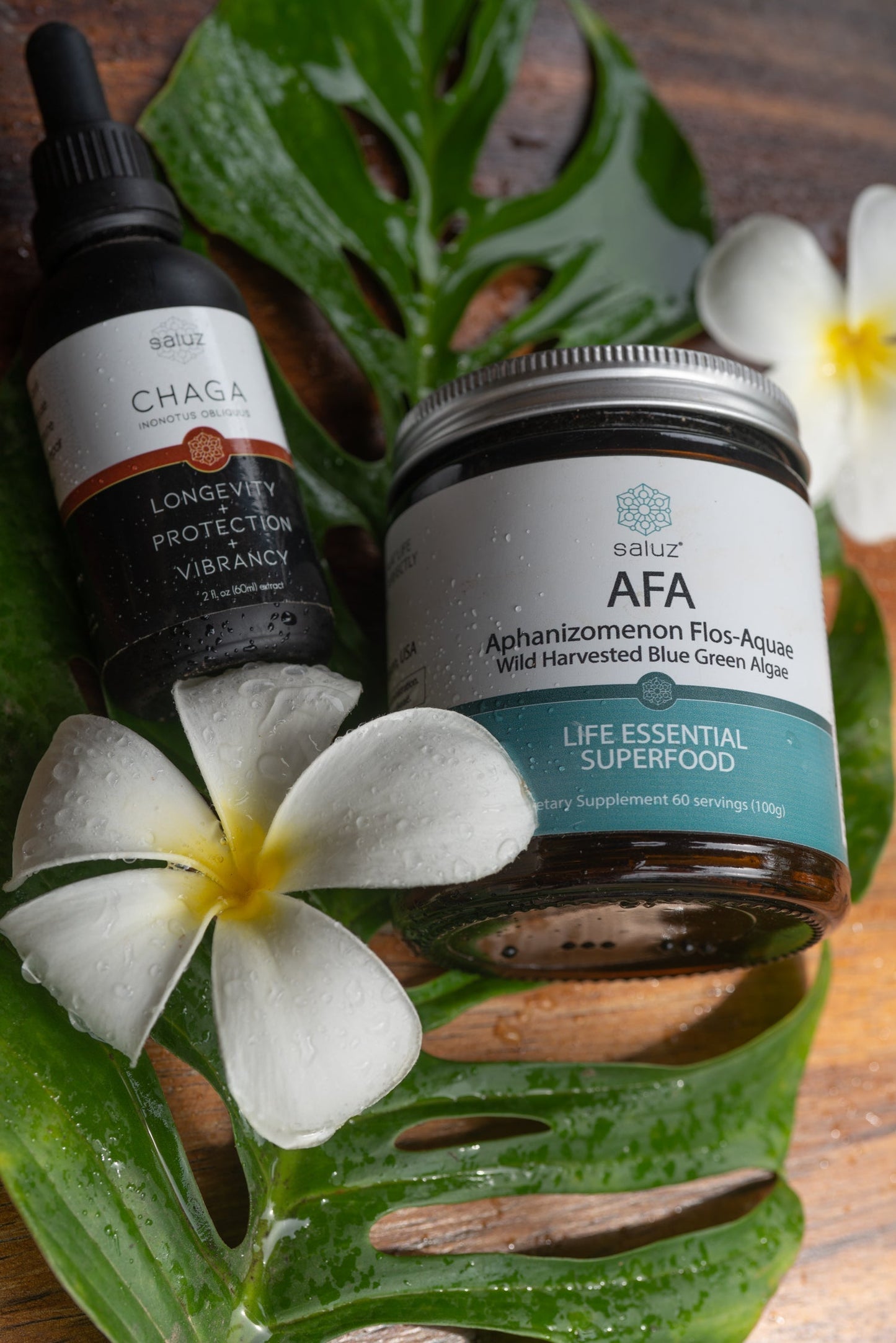 Saluz Detox Bundle – The Ultimate Cleanse with AFA & Chaga Mushroom